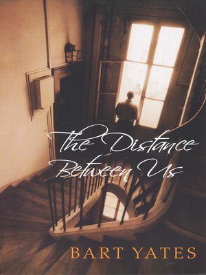 cover image of The Distance Between Us